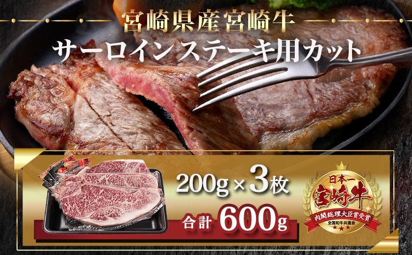 宮崎牛サーロインステーキ(200g×3枚)≪みやこんじょ快速便≫_26-N401-R