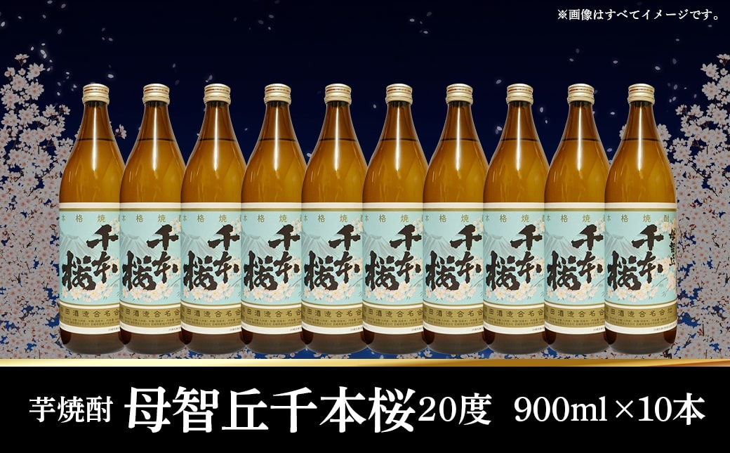 【年内お届け】「みやこんじょ銘酒」【柳田酒造】千本桜(20度)900ml×10本≪2025年12月15日～31日お届け≫_29-3501-HNY