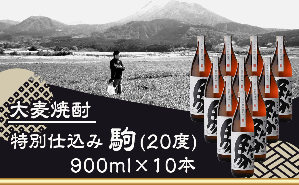 「みやこんじょ銘酒」【柳田酒造】特別仕込み駒(20度)900ml×10本≪みやこんじょ特急便≫_29-3502