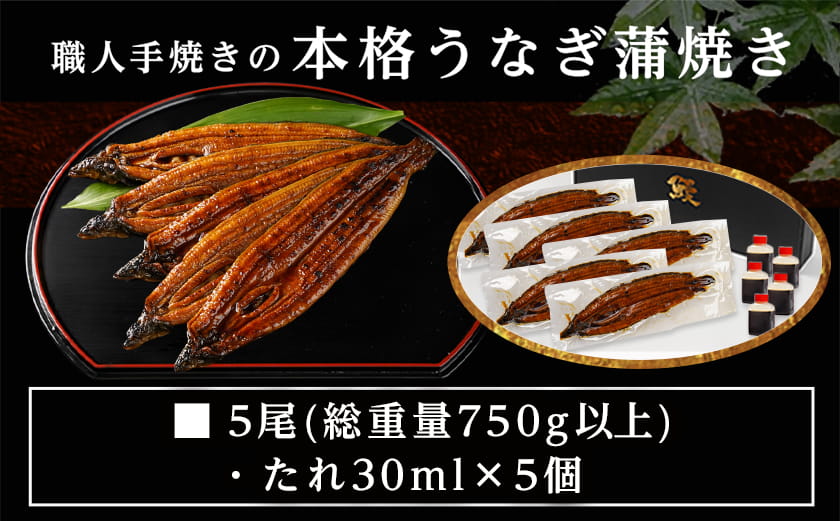 職人手焼きの本格うなぎ蒲焼き5尾≪みやこんじょ特急便≫_32-33-003-5-Q