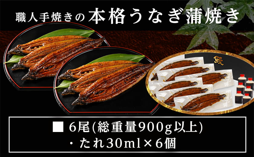職人手焼きの本格うなぎ蒲焼き6尾≪みやこんじょ特急便≫_38-33-003-6-Q