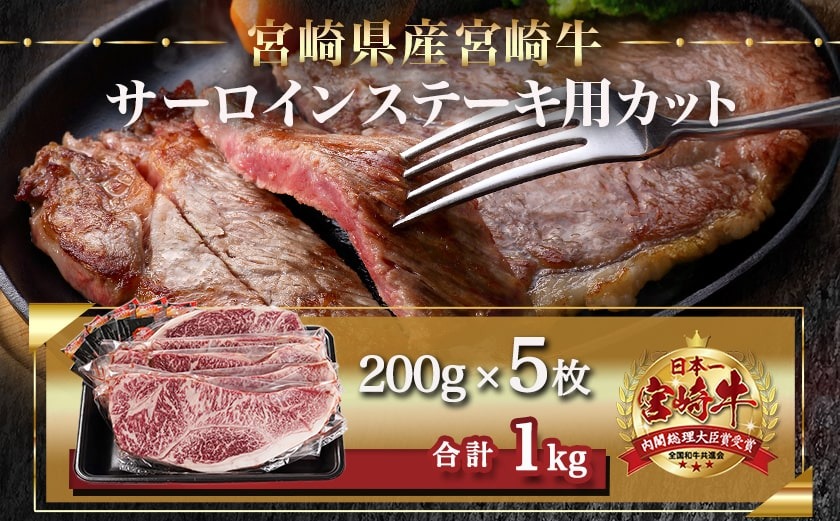 宮崎牛サーロインステーキ(200g×5枚)≪みやこんじょ快速便≫_38-N402-R