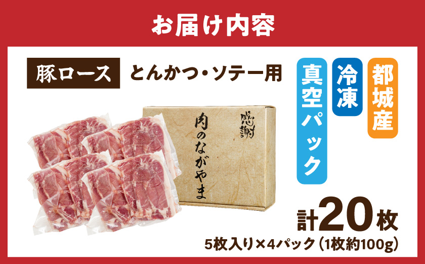 豚ロースとんかつ・ソテー用20枚_AA-2506