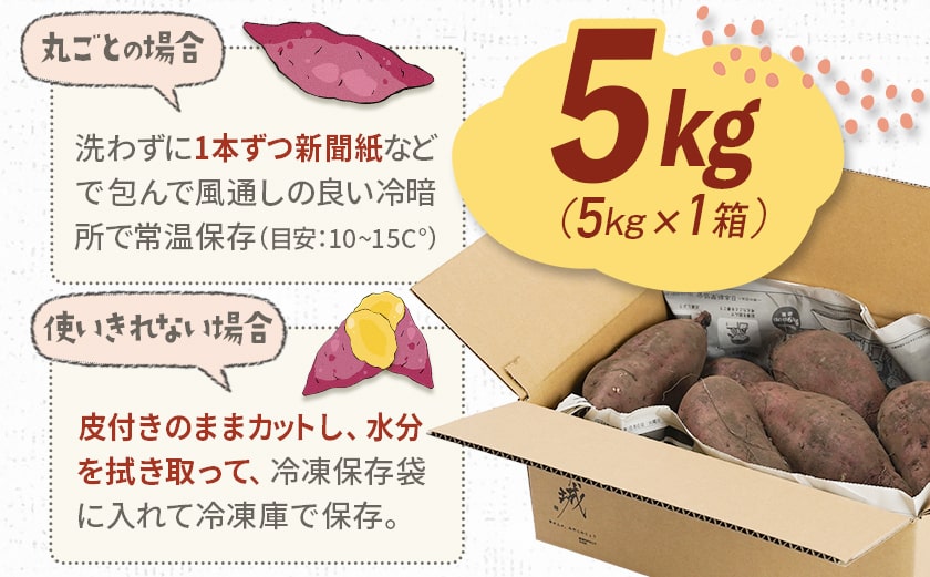 都城産 長期熟成紅はるか 5kg_AA-I202