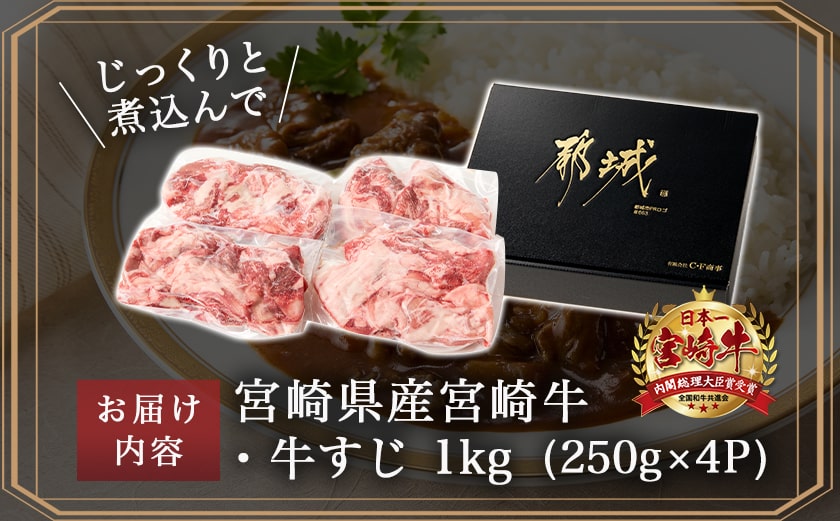 宮崎牛牛すじ1kg(250g×4P)_AA-N301