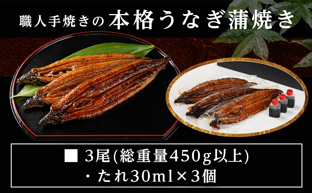 職人手焼きの本格うなぎ蒲焼き3尾≪みやこんじょ特急便≫_AC-33-003-3-Q