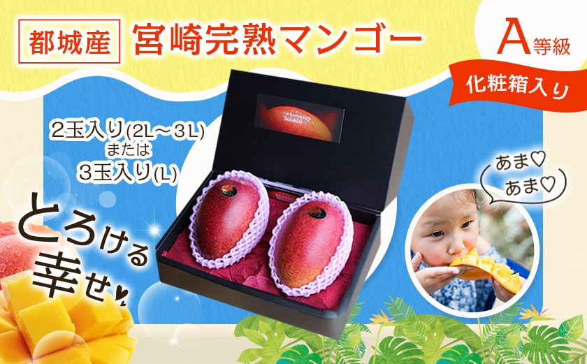 【先行受付!】宮崎完熟マンゴー2～3玉(都城産)_AC-3303_【果物 先行予約 フルーツ】