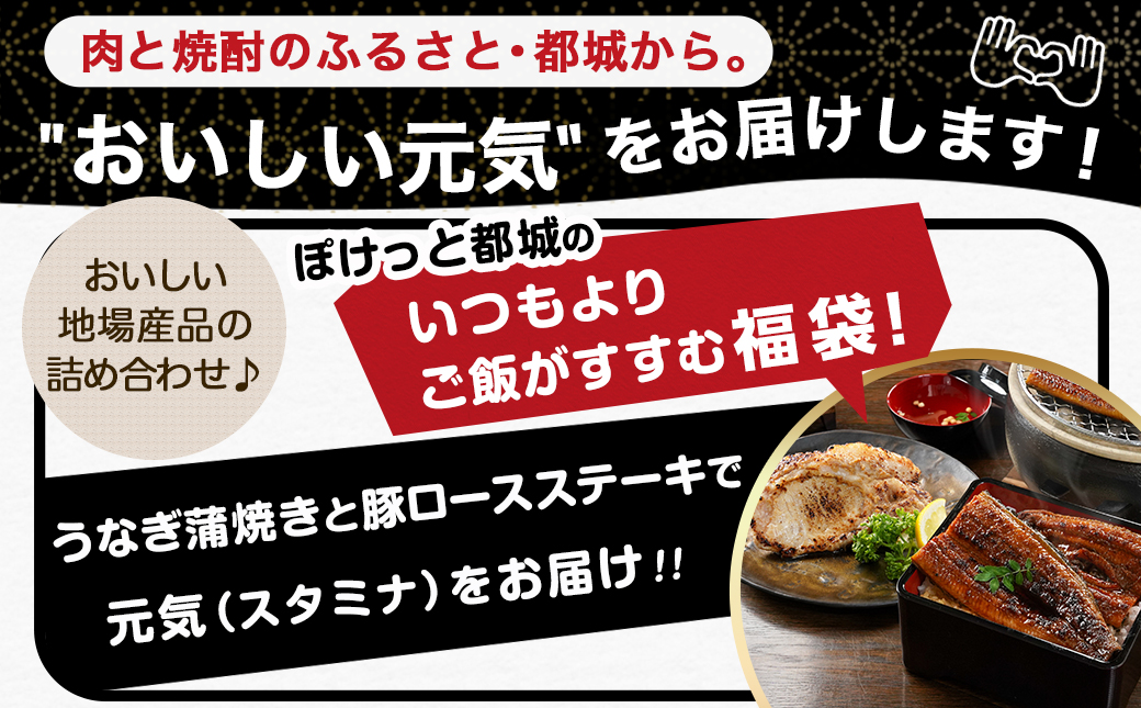【元気モリモリ福袋】職人手焼きうなぎ蒲焼き2尾＆豚ロースステーキ6枚_AC-3305