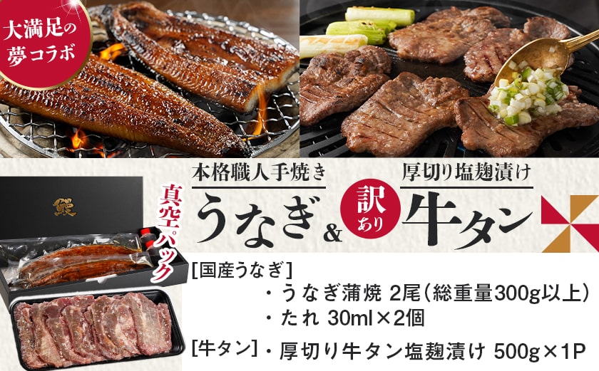 大満足の夢コラボ☆うなぎ&厚切り牛タンセット_AC-3308