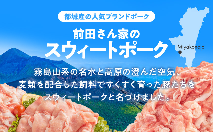 「前田さん家のスウィートポーク」肉肉肉4kgセット(真空)≪みやこんじょ快速便≫_AC-89-002-4kg-s-R