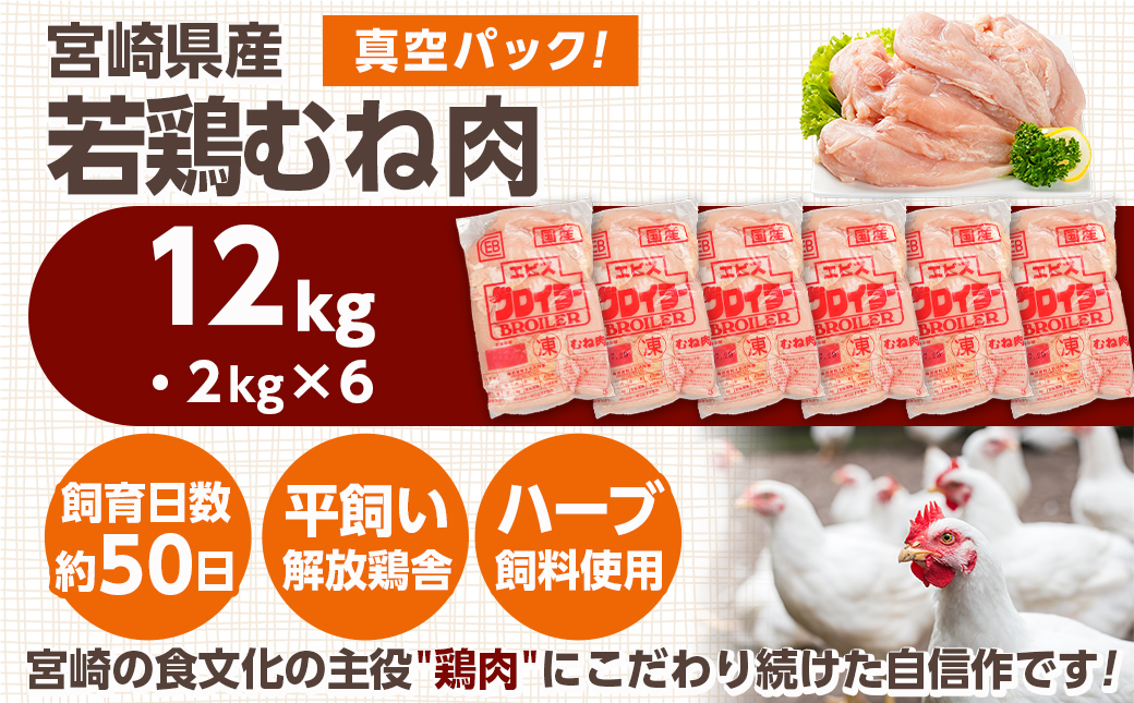 宮崎県産若鶏 むね肉(12kg)_AC-G301