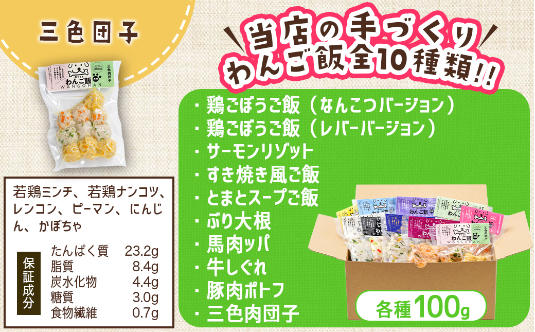 手づくり☆わんご飯『10種のわんだふるセット』_AC-J501