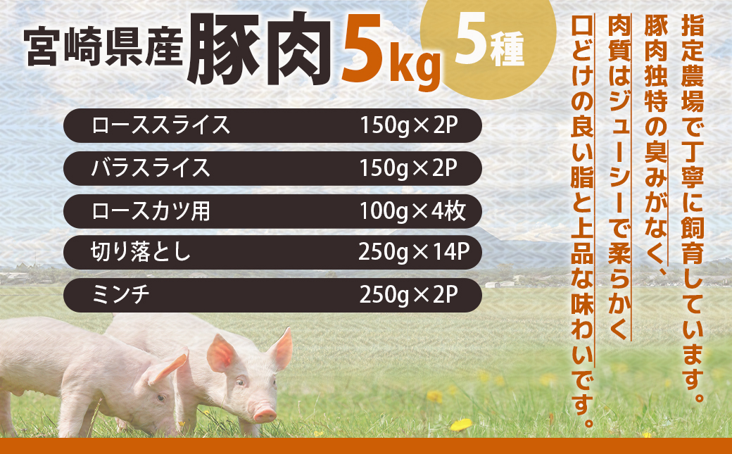 宮崎県産豚肉5kgセット_AC-M601