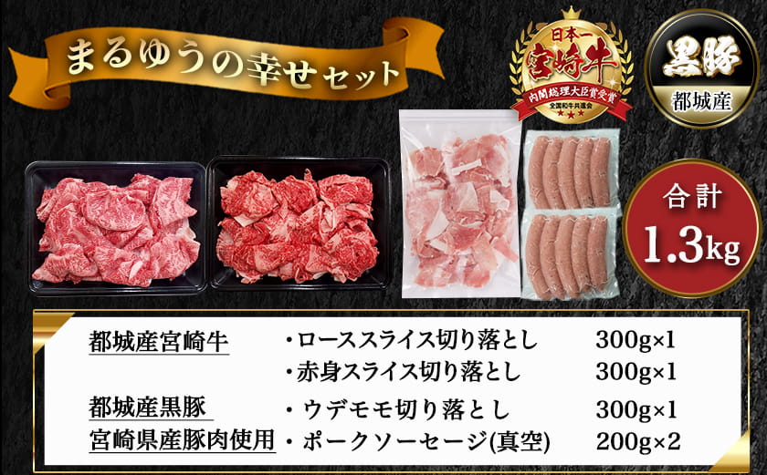 宮崎牛と黒豚+ポークソーセージの詰め合わせセット_AC-N4-001