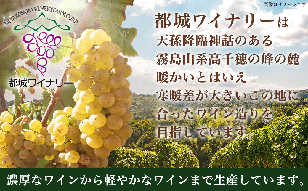 神話に彩られた都城ワイナリーのお薦め3本 ≪みやこんじょ特急便≫_AD-3502
