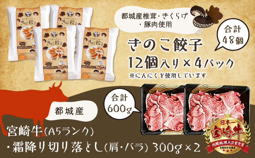 きのこ餃子48個&宮崎牛(A5)霜降り切り落し600g_AD-8701