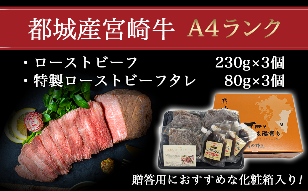 宮崎牛ローストビーフ 230g×3個_AF-2602