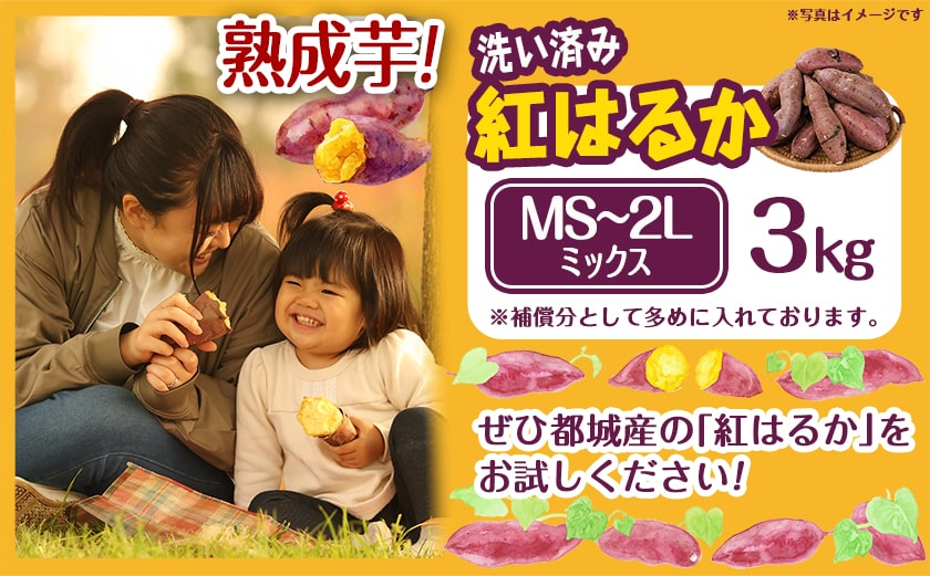 【熟成芋】芋名人が認めるさつまいも『洗い済み　紅はるか』3kg MS～2Lミックス ※12月～1月頃順次発送_LD-L704-J