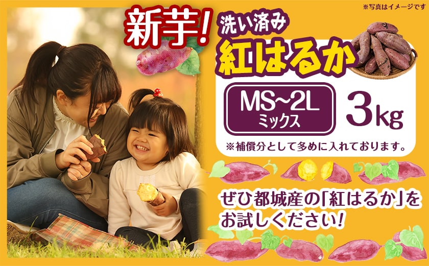 【新芋】芋名人が認めるさつまいも『洗い済み　紅はるか』3kg MS～2Lミックス ※9月～11月頃順次発送_LD-L704-N