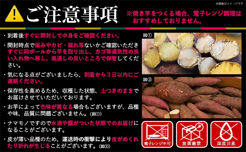 島津甘藷　熟成紅はるか 5kg(2L～M)_LE-A701