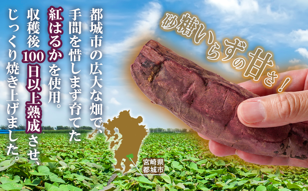 あま～い!紅はるか冷凍焼き芋_LE-L705