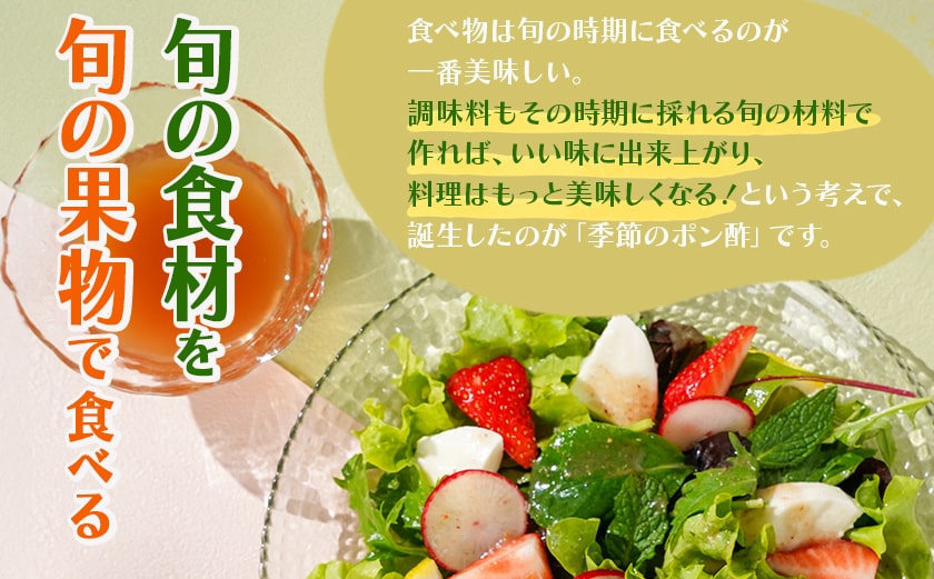 【母の日】宮崎育ちの季節のポン酢≪いちご・レモン・へべす・柚子≫≪5月7日～10日お届け≫_LG-3327-MG