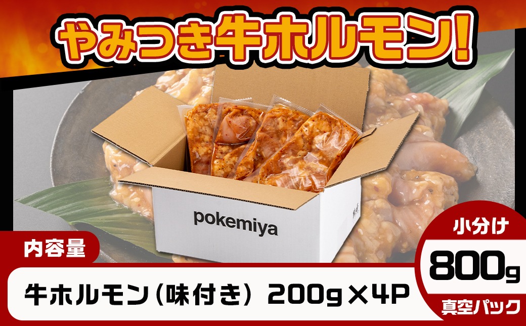 やみつき牛ホルモン800g!(真空小分け)≪みやこんじょ特急便≫_LG8-3307-Q_【肉 牛肉 焼き肉 焼肉 人気 おすすめ】