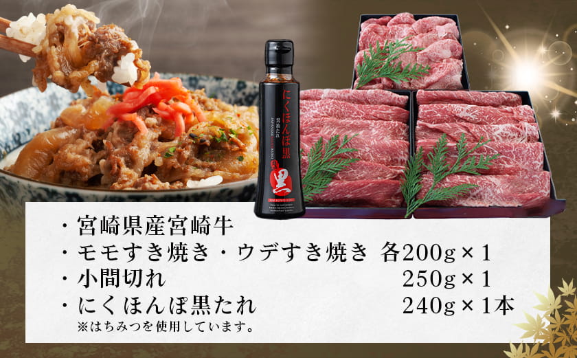 宮崎牛盛り合わせセット_MJ-31-011