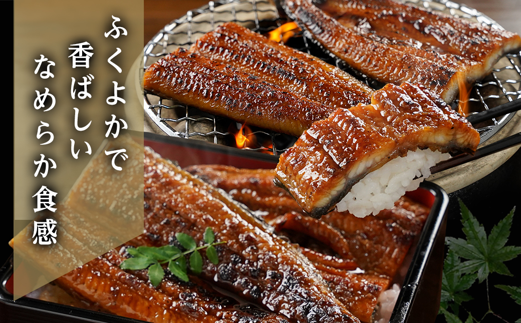 【母の日】職人手焼きの本格うなぎ蒲焼き2尾≪5月7日～10日お届け≫_MJ-33-003-2-MG