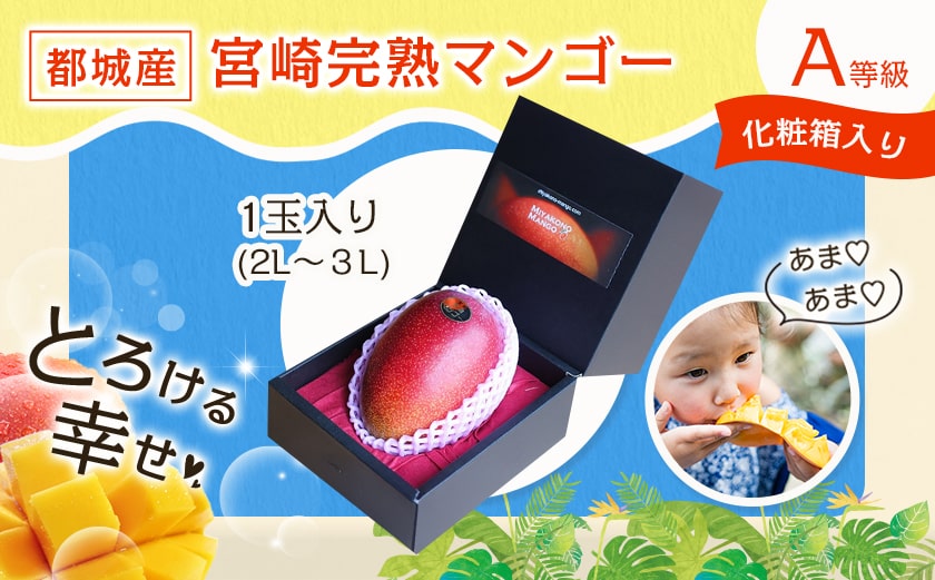 【先行受付!】宮崎完熟マンゴー1玉(都城産)_MJ-3301