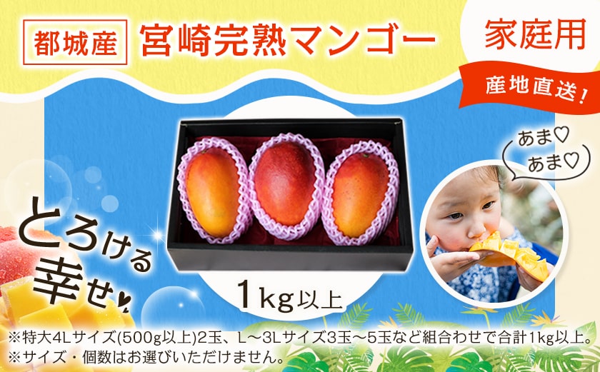 【先行受付!】宮崎完熟マンゴー家庭用1kg以上(都城産)_MJ-3311_【果物 先行予約 フルーツ】