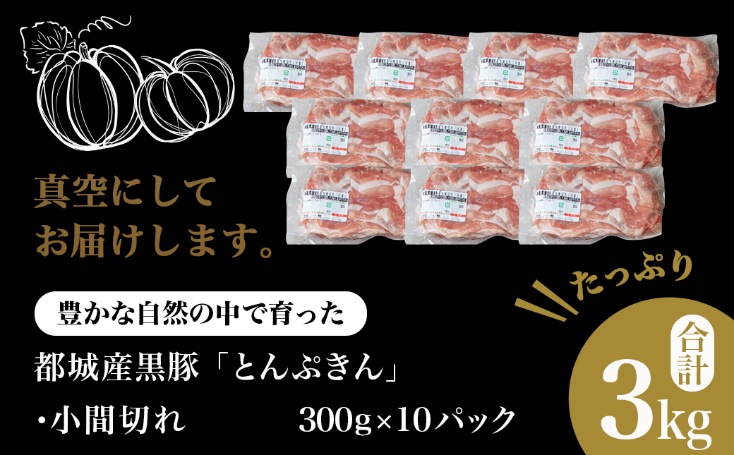 黒豚「とんぷきん」こま切れ3kg_MJ-5904