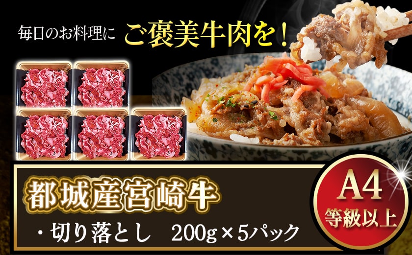 宮崎牛切り落とし1kg_MJ-7702_【肉 牛肉 切り落とし 焼き肉 焼肉 スライス すき焼き しゃぶしゃぶ 人気 おすすめ 国産】