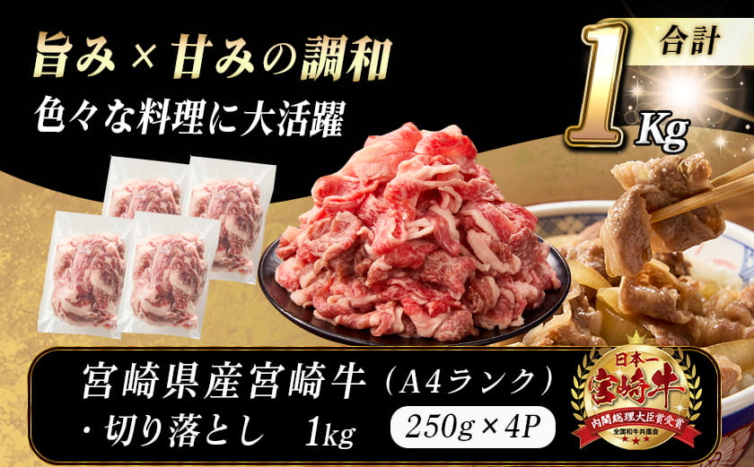 宮崎牛切り落とし1kg(真空)_MJ-8908-s