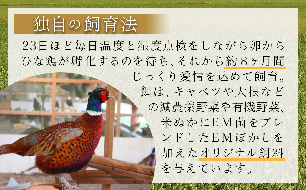 【たしろ屋】都城産キジ肉1羽セット_MJ-9910