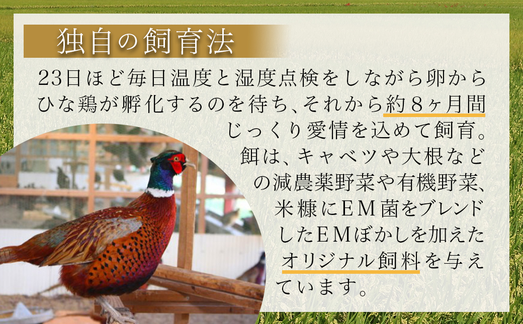 【たしろ屋】都城産キジ たたき&キジ肉生(焼肉用)セット _MJ-9911