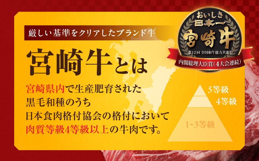 宮崎牛ロースステーキ2枚(合計400g)_MJ-N303