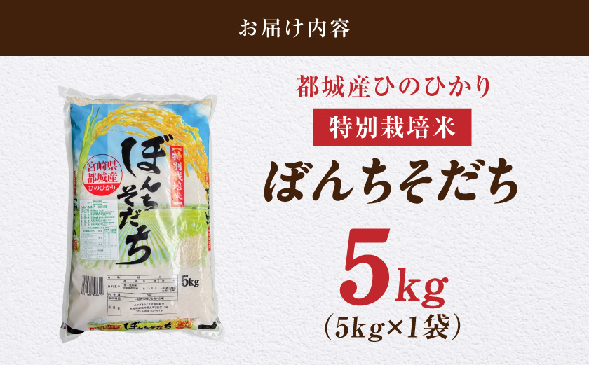 都城産ひのひかり特別栽培米「ぼんちそだち」5kg(5kg×1袋)_MJ-N503