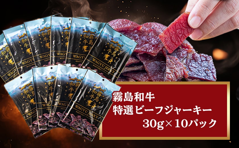 【霧島和牛】特選ビーフジャーキー(10パック)_MK-E901