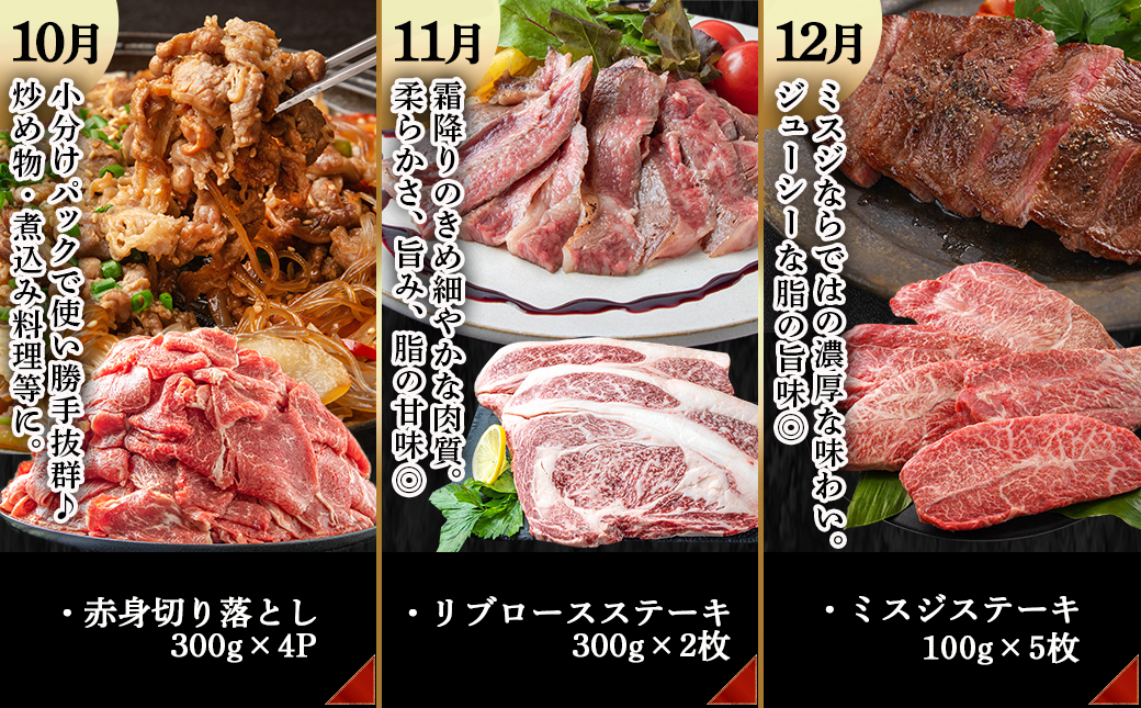 宮崎牛定期便(12回お届け) Dコース_T100(12)-2501