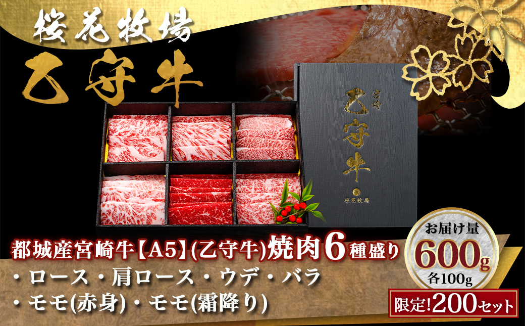 ≪限定200セット≫隔月6回お届け!【宮崎牛A5】焼肉6種盛り(乙守牛）_T192-6-6501_【肉 牛肉 焼き肉 焼肉 人気 おすすめ 国産 宮崎県産】