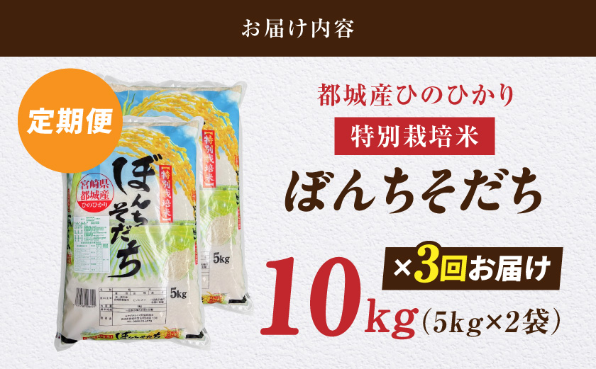 ≪3回お届け!≫都城産ひのひかり特別栽培米「ぼんちそだち」10kg定期便_T63-3-N5-001-10kg