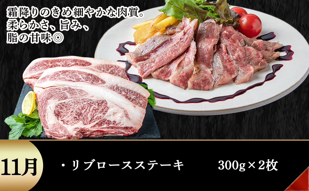 宮崎牛定期便(10回お届け) Bコース_T80(10)-2502