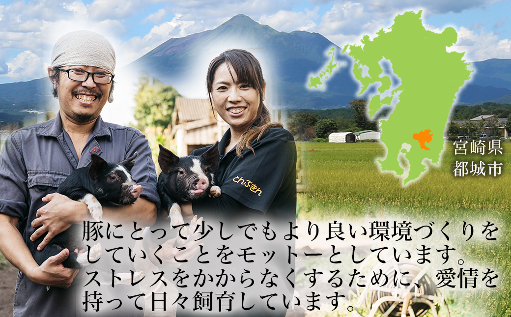 【6回お届け!】「黒豚とんぷきん」定期便≪総重量16kg≫_T90-6-5901