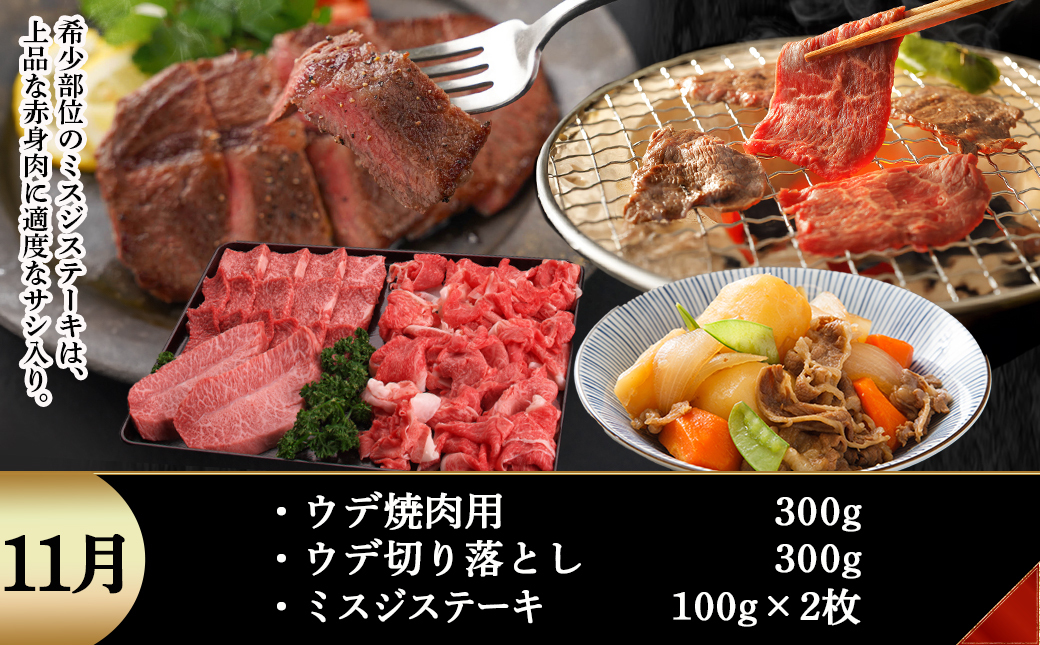 宮崎牛定期便(10回お届け) Cコース_TAC10-2501