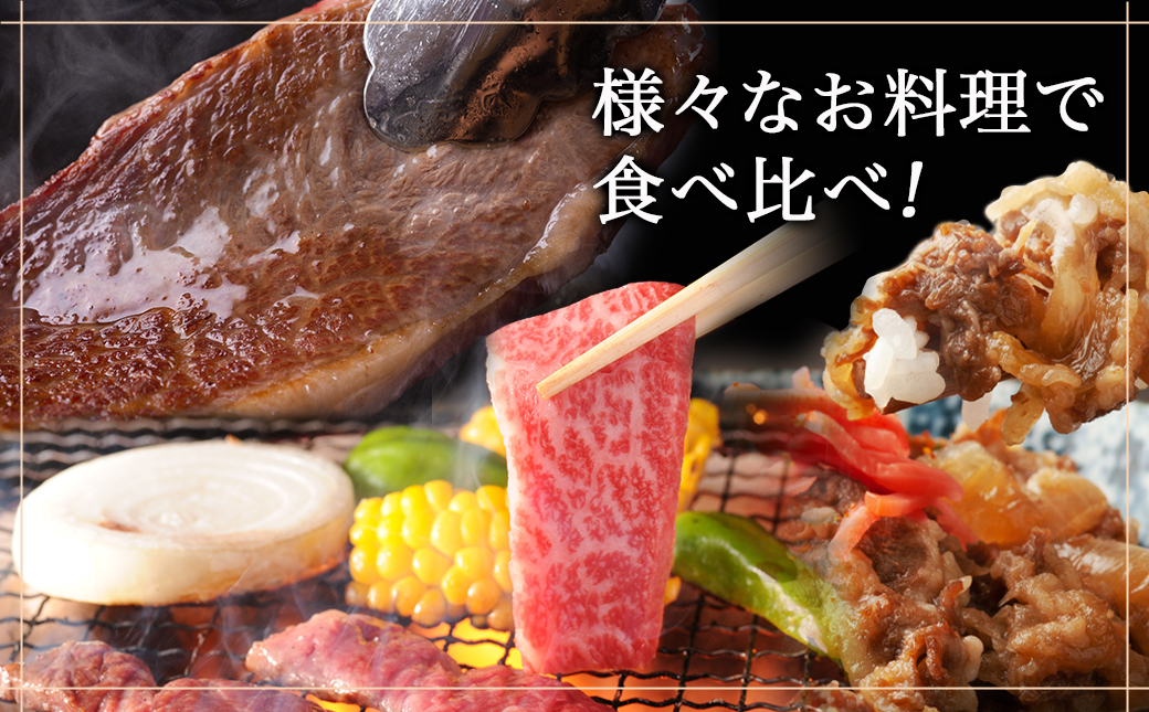 ≪全6回定期便≫宮崎牛食べ比べ定期便5.5kg_TAF6-I601