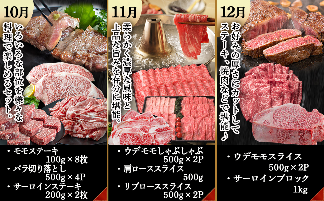 宮崎牛定期便(12回お届け) Hコース_TAI12-2501