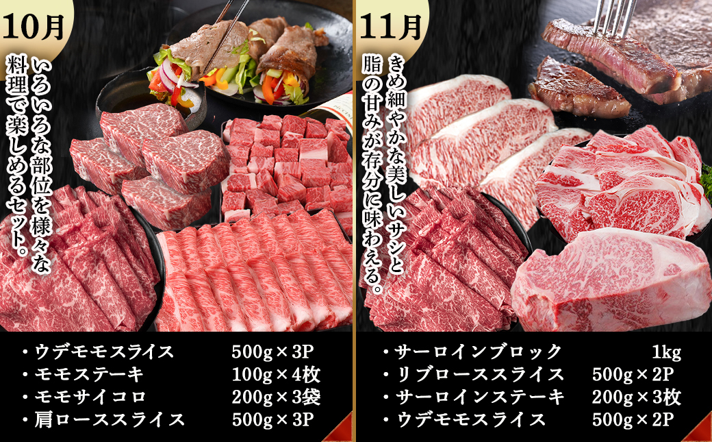 宮崎牛定期便(10回お届け) Iコース_TAJ10-2501