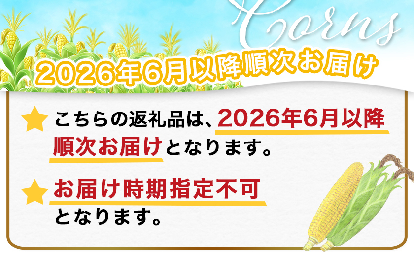 【先行受付】朝どれ!!都城産スイートコーン(味来コーン)5kg 15本以上_12-B401-6