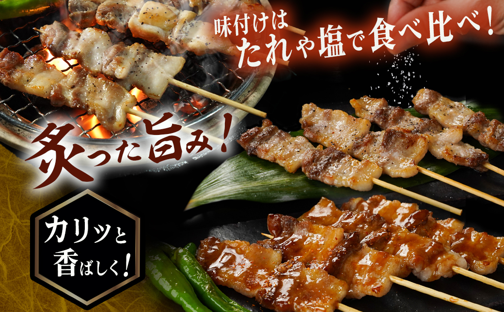 宮崎県産豚肉バラ串&国産鶏肉モモ串≪合計48本≫_13-8903